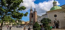 Kraków posadzi drzewa na rynku. Naukowcy opracują dokumentację projektową