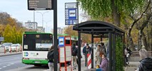 Białystok z planami przebudowy 27 zatok autobusowych