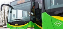 Zgierz: Autobus do Strykowa przegrał z przewozami pracowniczymi