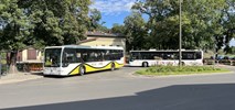 Koleje Dolnośląskie chcą jeździć autobusami do Polkowic i Bolkowa