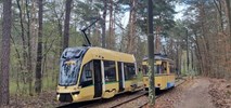 Modertrans dostarczy pod Berlin więcej Gamm. Kiedy zabiorą pasażerów?