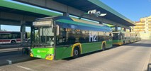 Które linie obsłużą nowe autobusy MPK Poznań?