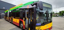 Łódź: 63 hybrydy – ostatnie autobusy z Dieslem?