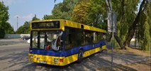 Pabianice chcą elektryfikować flotę autobusową 