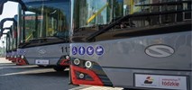 ŁKA: Spory wzrost popularności autobusów dowozowych 