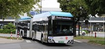 Konin blisko przegubowych autobusów na wodór