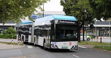 Konin blisko przegubowych autobusów na wodór