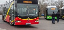 Zgierz planuje nową siatkę połączeń autobusowych