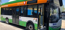 Miechów planuje zakup kolejnych autobusów miejskich