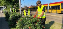 Warszawa. Pętle w zieleni