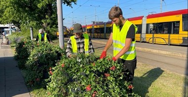 Warszawa. Pętle w zieleni