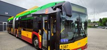 Łódź: MPK kupuje 36 autobusów elektrycznych