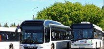 Toruń i nowa linia autobusowa