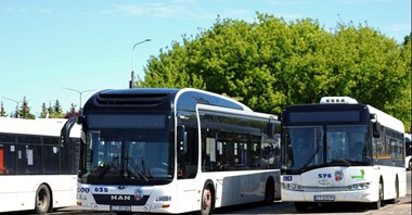 Toruń i nowa linia autobusowa