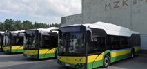 Bełchatów z dofinansowaniem na jeden elektrobus 