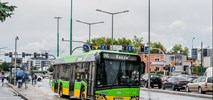 MPK Poznań: Ostatnie zakupy autobusów spalinowych