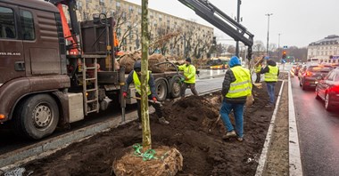 Warszawa. Zieleń zamiast betonu