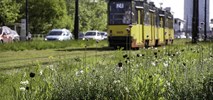 Tramwaje Warszawskie. Będą priorytety na dwóch kolejnych skrzyżowaniach