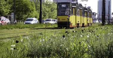 Tramwaje Warszawskie. Będą priorytety na dwóch kolejnych skrzyżowaniach