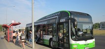 Białystok przebuduje 27 zatok autobusowych