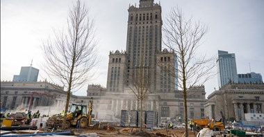 Coraz więcej drzew na placu Centralnym