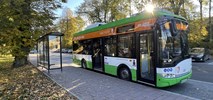 Burmistrz Miechowa o transporcie publicznym na terenie miasta