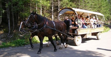 Morskie Oko. Zostają zaprzęgi, ale będą też autobusy. Kompromis?