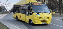 ZTM GZM. Wciąż rośnie popularność minibusów. Jest przetarg na ich obsługę