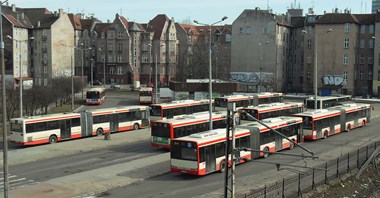 Otwarte dane ZTM Gdańsk: Ponad 20 mln pobrań miesięcznie