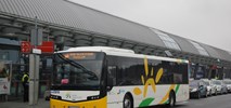 Mazowieckie zleci obsługę 10 linii autobusowych PKS Bodzentyn 